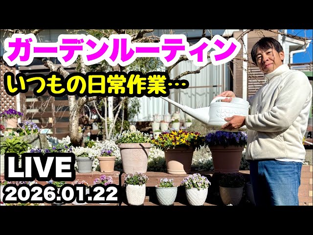 ◇【日常作業をLIVEでお届けします】ゆるふわ園芸やっちゃんねる