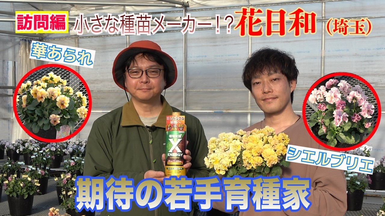 A small seed manufacturer!? A promising young breeder (Hanabiyori