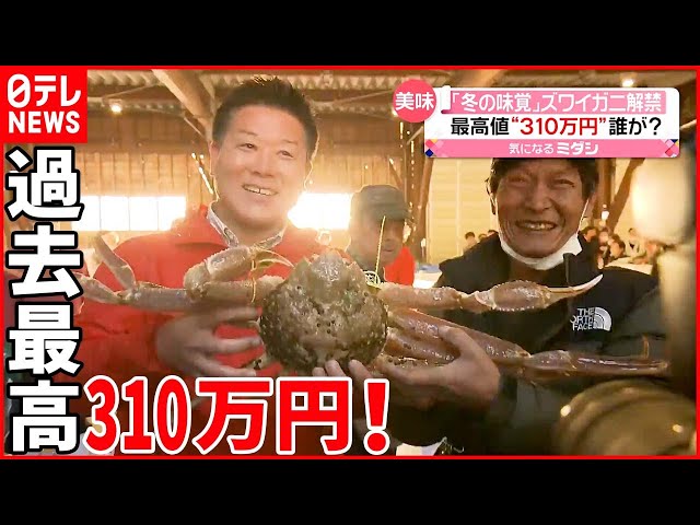 越前ガニ」初競り】過去最高値“310万円”で落札 ズワイガニ漁解禁 - YouTube