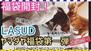 ヤマダヤ福袋】ラシュッドナンバーコレクト開封動画❣️ LASUD