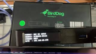 BirdDog 4K QUAD ⇔ NDI 双方向 エンコーダ/デコーダ | パンダスタジオ