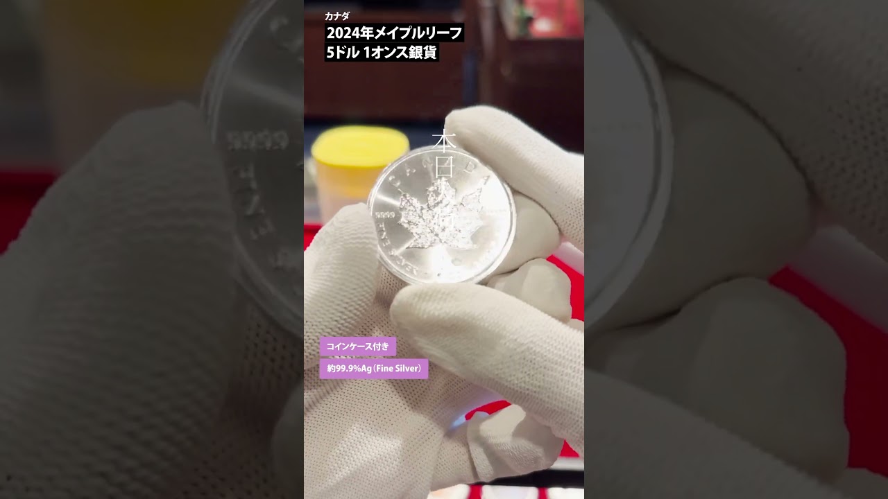 カナダ 2024 メイプルリーフ 5ドル 1オンス 地金型銀貨 【1枚