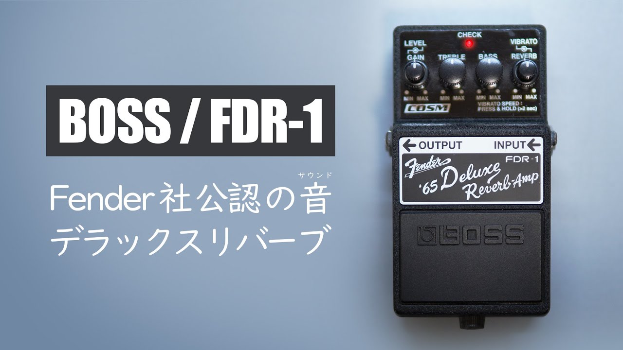 Collaborating with Fender! The Deluxe Reverb Sound Created by BOSS