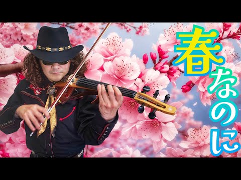 春なのに / 柏原芳恵（中島みゆき） covered by 穴澤雄介 【5弦