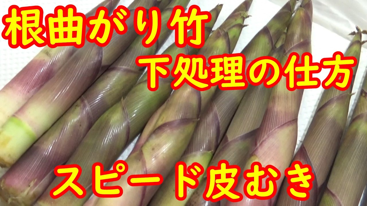 一瞬で皮が剥ける！根曲がり竹の下処理の仕方】☆ネマガリダケ☆根