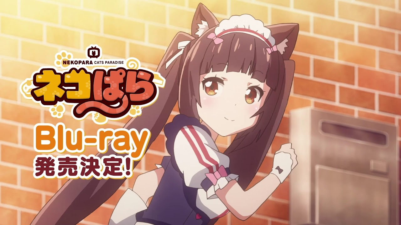 ネコぱら Blu-rayCM（ショコラ・バニラ篇） - YouTube