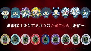 鬼滅の刃 きめつたまごっち 柱集結版 きょうじゅろうっちカラー【2次