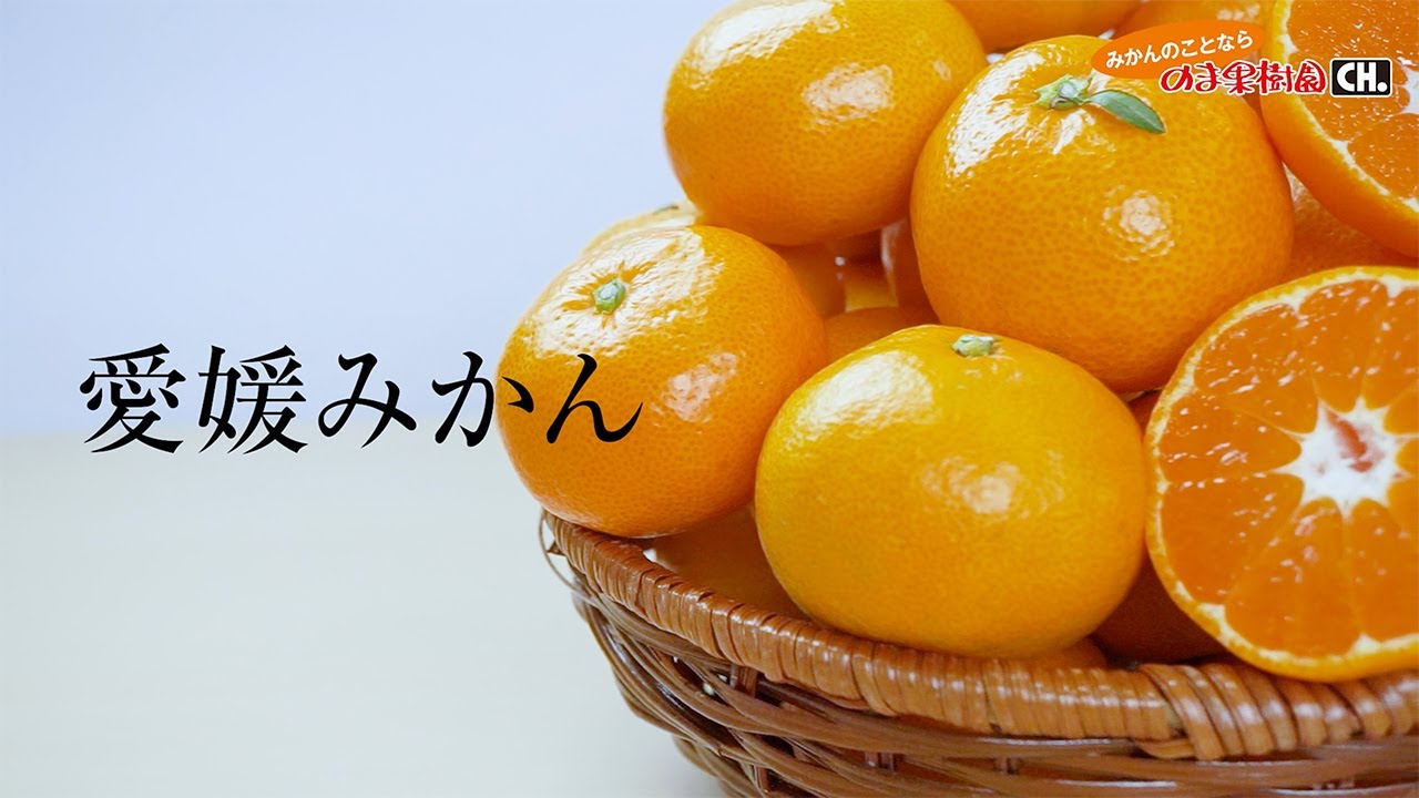 コタツでみかん「満足セット」 | のま果樹園