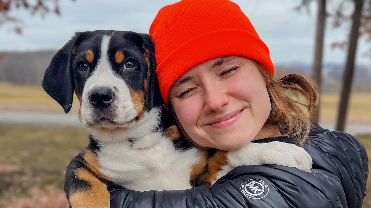 I GOT A PUPPY!!! - YouTube