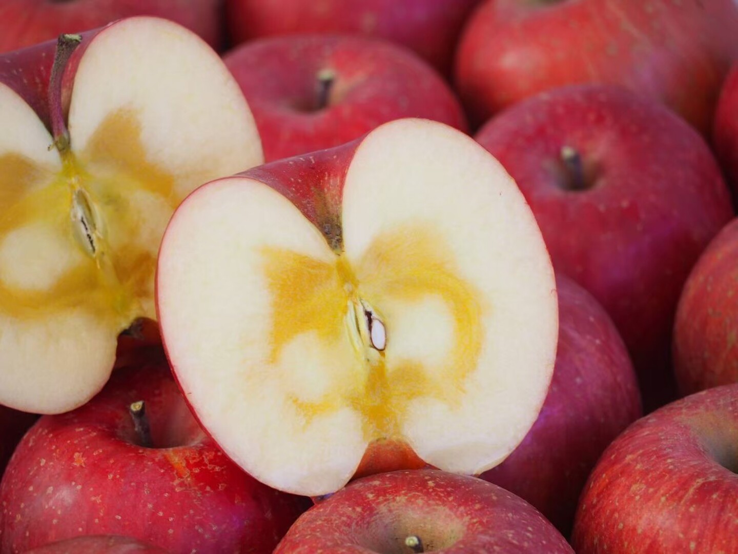 小玉りんご】完熟サンふじ🍎16〜22玉1日1個まるかじり：長野県産の
