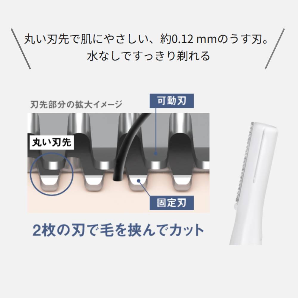 楽天市場】半額 ＆10％OFF≪1(日)0時～≫ 【 楽天ランキング1位