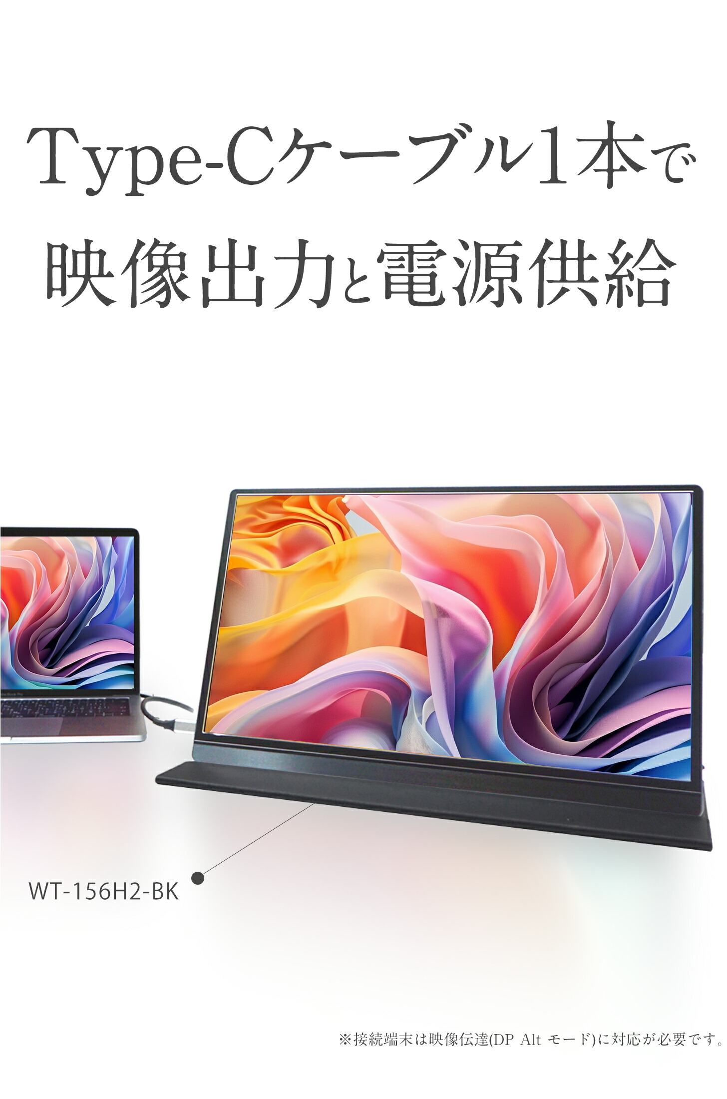 ウィンテン WINTEN【公式】｜製品紹介｜モバイルモニター｜WT-156H2-BS