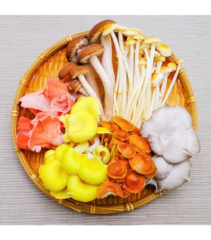Amazon.co.jp: 新鮮生きのこセット 6種類 各2パック（12パック） 長野