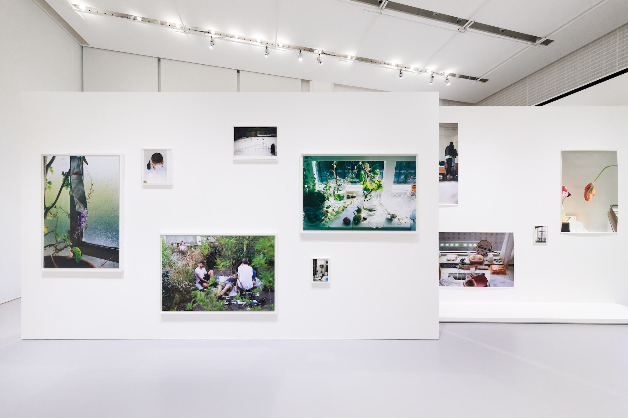 境界を越える人：ヴォルフガング・ティルマンス 「Moments of Life」展