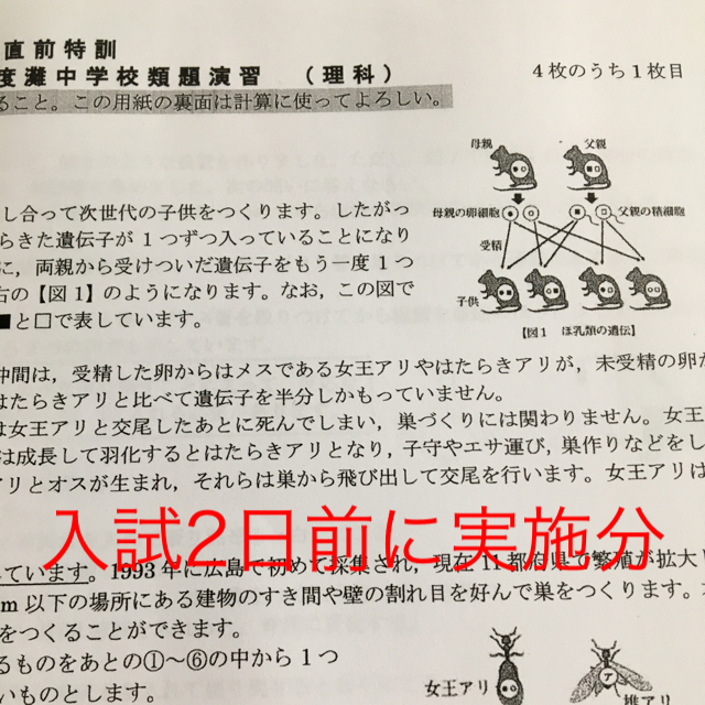 馬渕教室6N 理科 灘中学校類題演習の通販 by flower's shop｜ラクマ