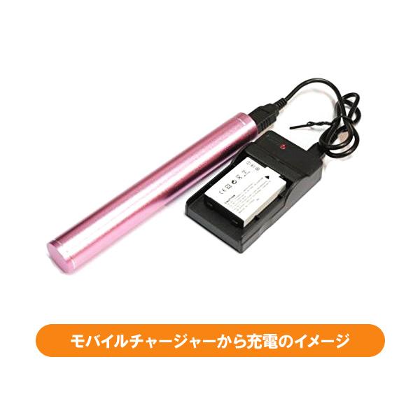 DC29 FUJIFILM FinePix F601 M603 X30 F31fd 等 対応USB充電器