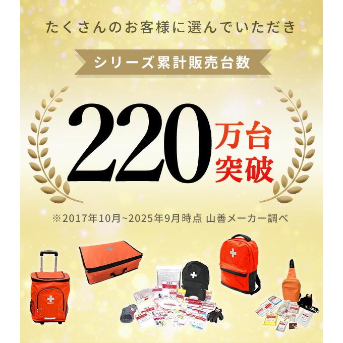 山善（YAMAZEN） 防災セット 車載用 車中泊セット (防災グッズ25点