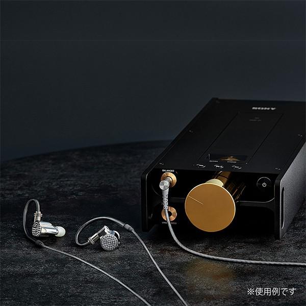 SONY（ソニー） (在庫限り)SONY IER-Z1R フラグシップ 有線イヤホン