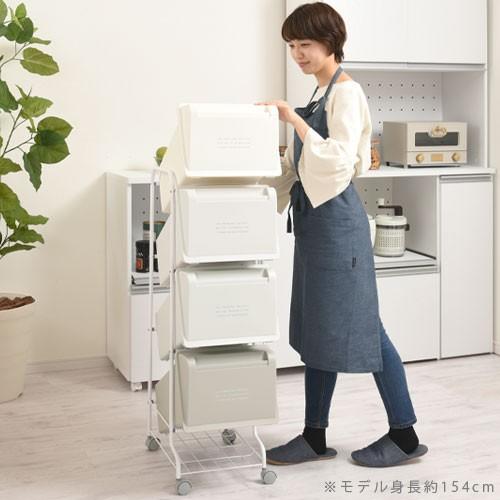 ぼん家具 ゴミ箱 キッチン用ゴミ箱 分別 ダストボックス おしゃれ