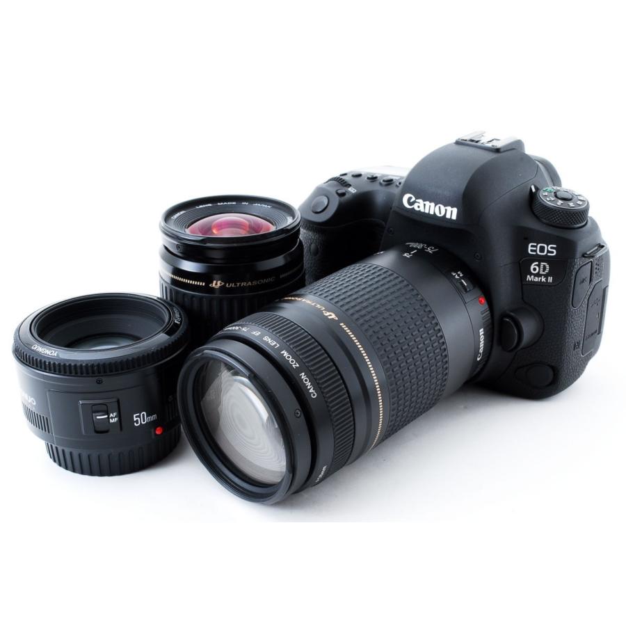 キヤノン（Canon） Canon EOS 6D Mark II 標準&超望遠＆単焦点トリプル