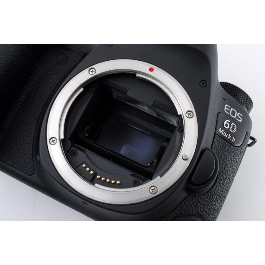 キヤノン（Canon） Canon EOS 6D Mark II 標準&超望遠＆単焦点トリプル