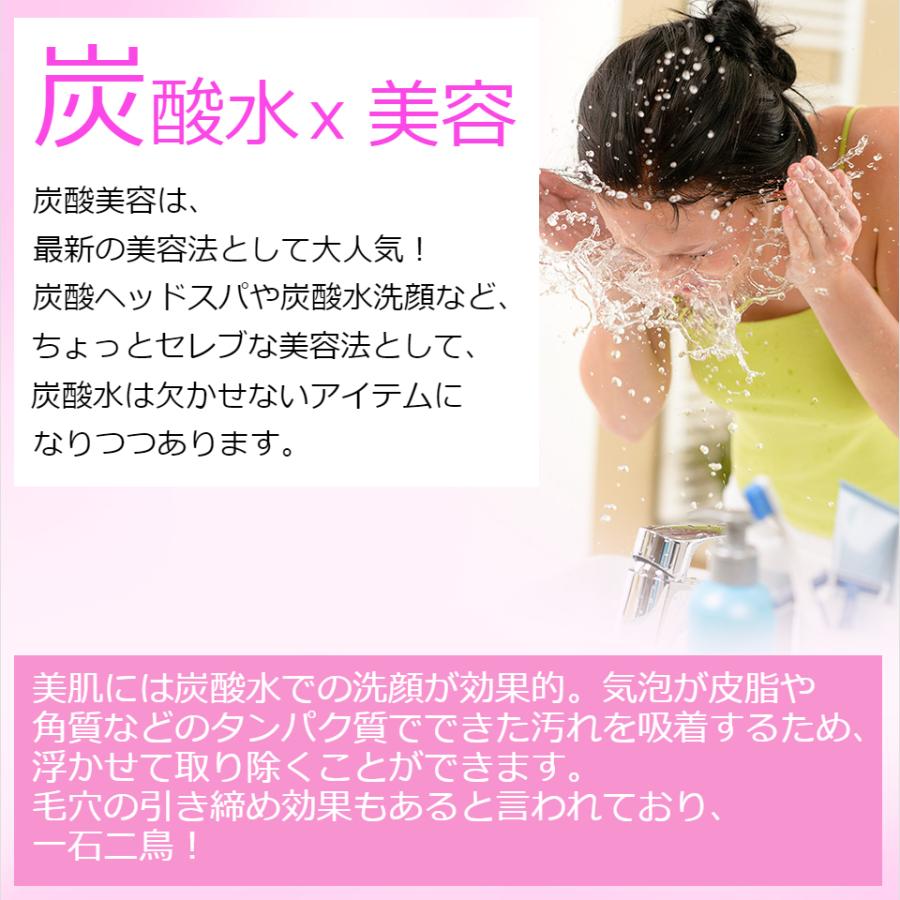 sodastream（ソーダストリーム） 【代引限定】ソーダストリーム ガス