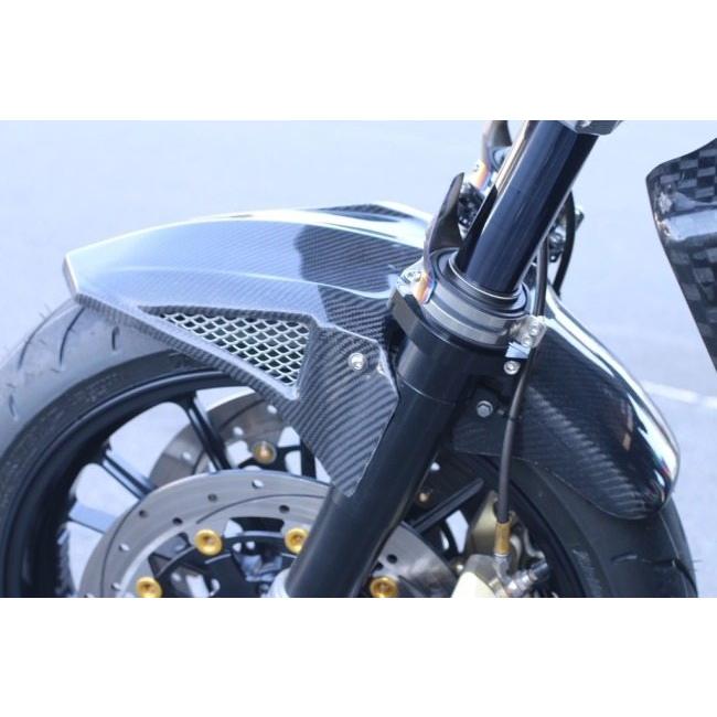 VERTIA ヴェルティア フロントフェンダー タイプ：FRP ZRX1200DAEG