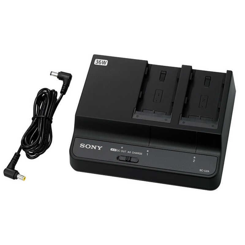 SONY（ソニー） ビデオカメラ用 バッテリーパックBP-U30/U60/U90/U60T