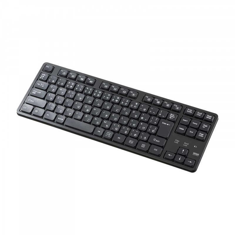 サンワサプライ キーボード 92キー(Windows11対応) ［ワイヤレス /USB