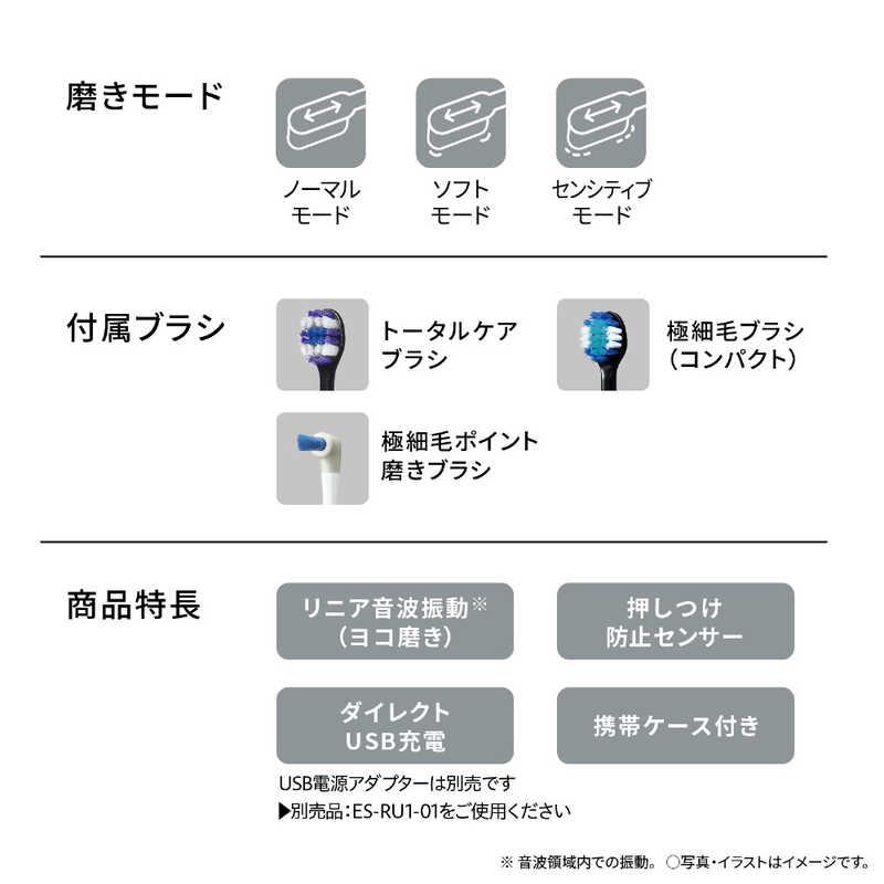 パナソニック Panasonic 電動歯ブラシ Doltz ドルツ [ 音波振動式