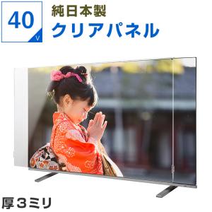 テレビ保護パネル 75 80 77型 77インチ クリアパネル テレビガード