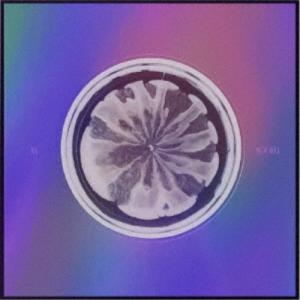 新品 AWE Solo ver.(MAYA)(初回盤) / XG (CD) NFCC18-SK : そふと屋