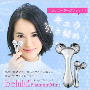 Notime（ノータイム） アイスレディ フェイス インベストメント 美顔器