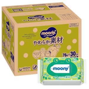Merries 《ケース》 花王 メリーズ ファーストプレミアムおしりふき