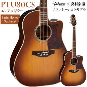 Takamine TAKAMINE DMP551C WR (スペア弦＆レビュー特典付き) タカミネ