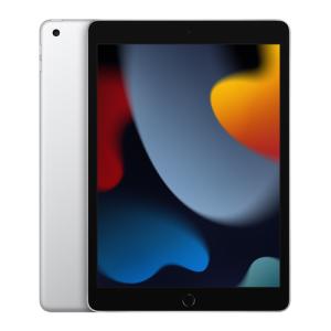 iPad 第10世代 64GB Wi-Fiモデル シルバー 2022/10/1 中古 タブレット