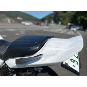 VERTIA ヴェルティア リアワイドテールカール タイプ：FRP ZRX1200DAEG