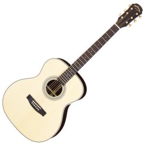 調整済 アリア AD-211アコースティックギター : タケヤ楽器 調整済みで