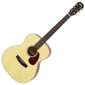 調整済 アリア AD-211アコースティックギター : タケヤ楽器 調整済みで