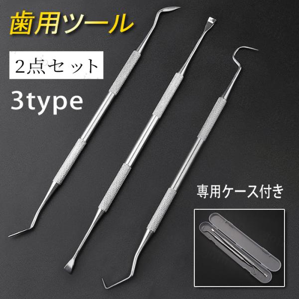 歯垢取り 2点セット 日本国内当日発送 3type 歯石取り器具 しこう取り