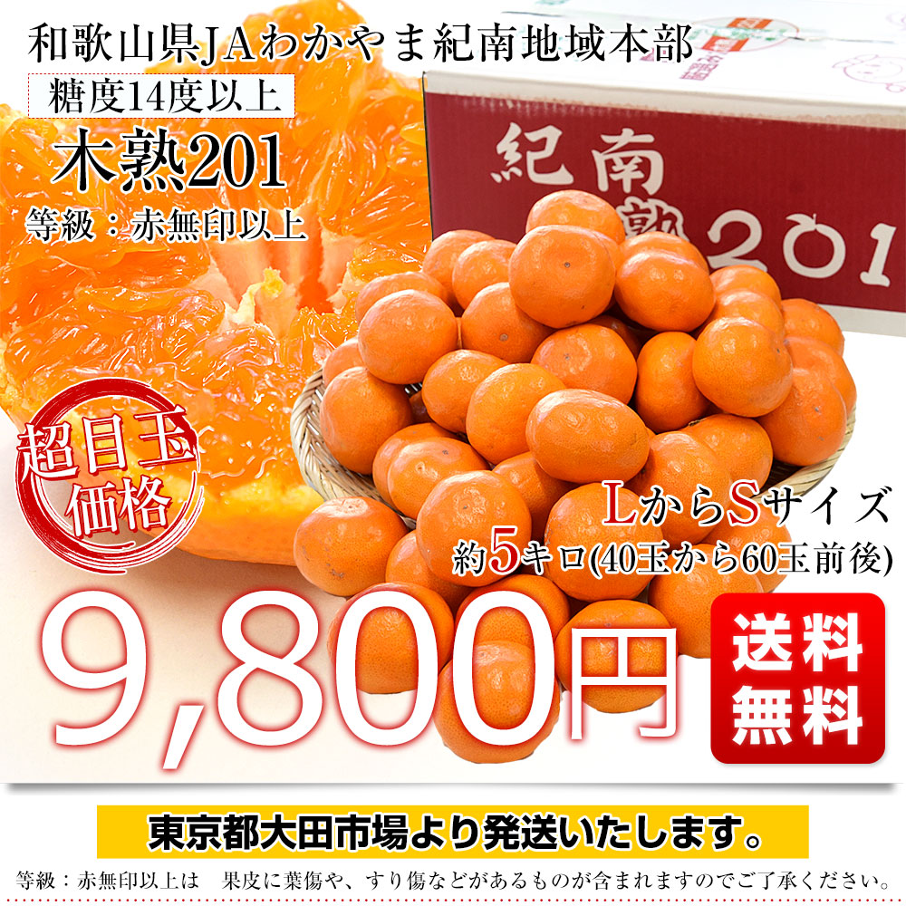 和歌山県 JAわかやま紀南地域本部 高糖度みかん「木熟201」赤無印以上