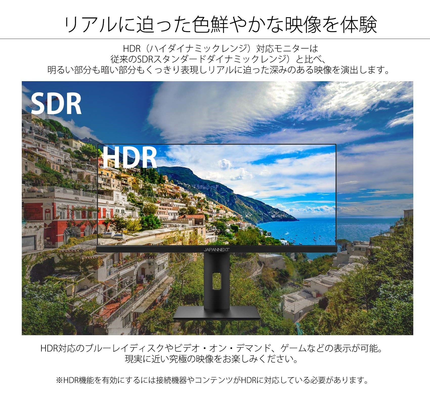 JAPANNEXT 29インチ ワイドFHD(2560 x 1080) 液晶モニター JN