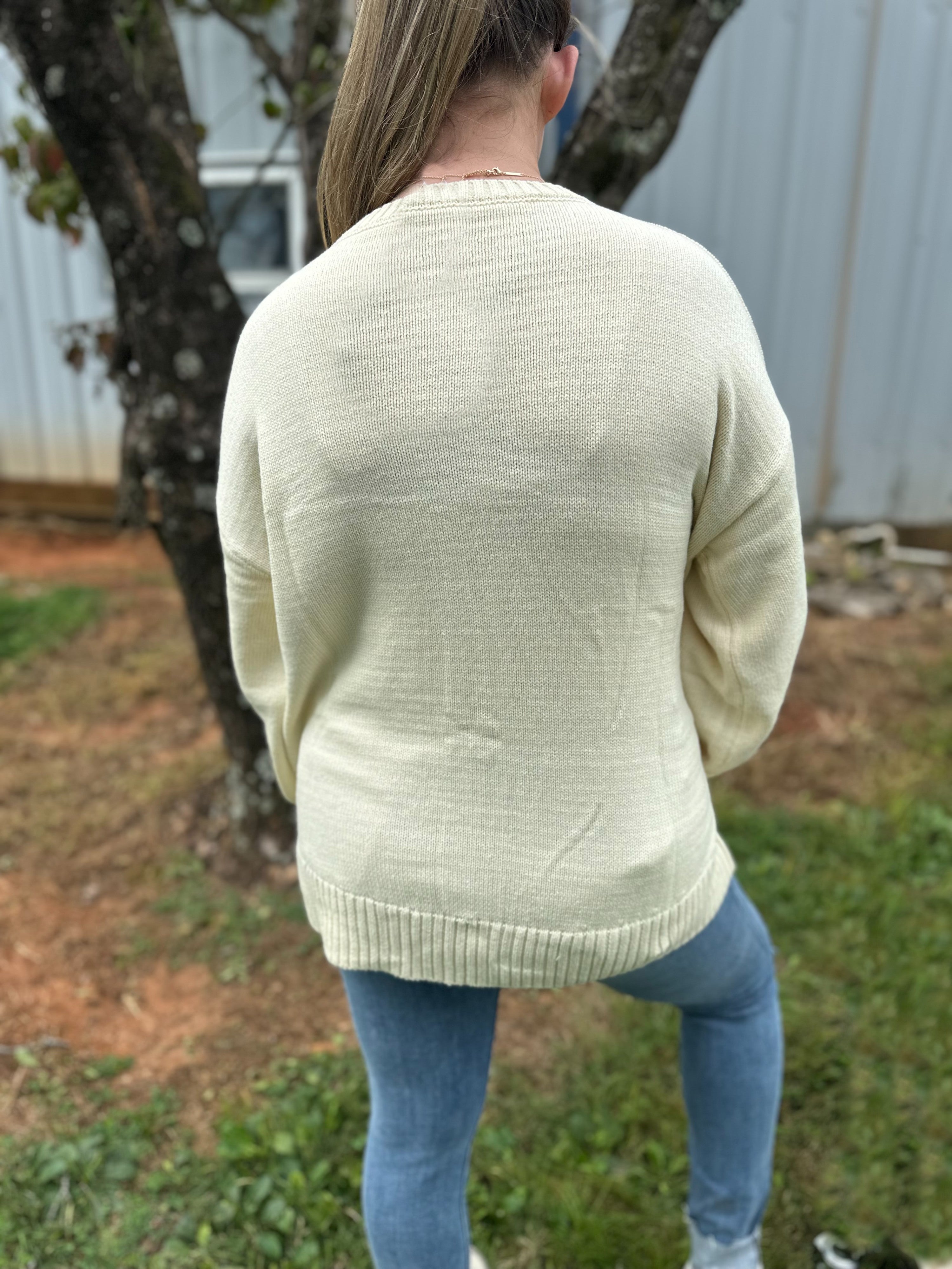 Wishlist Teddy Bear Knit Sweater in Cream – June Adel