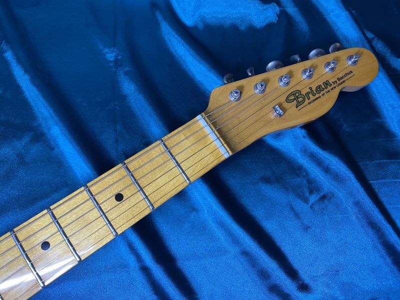 Brian by Bacchus / Telecaster Thinline テレキャスターシンライン