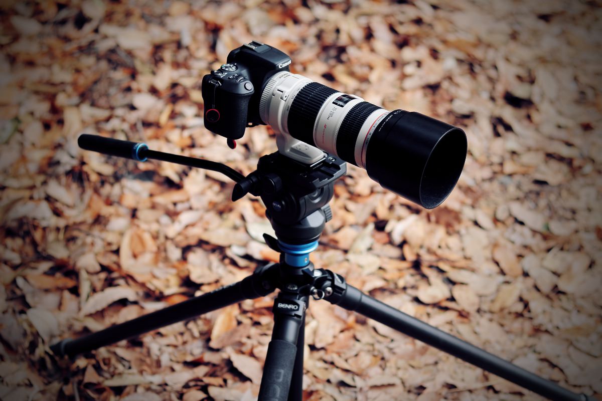 買って大正解！キヤノン望遠レンズEF70-200mm F4L IS USM購入レビュー