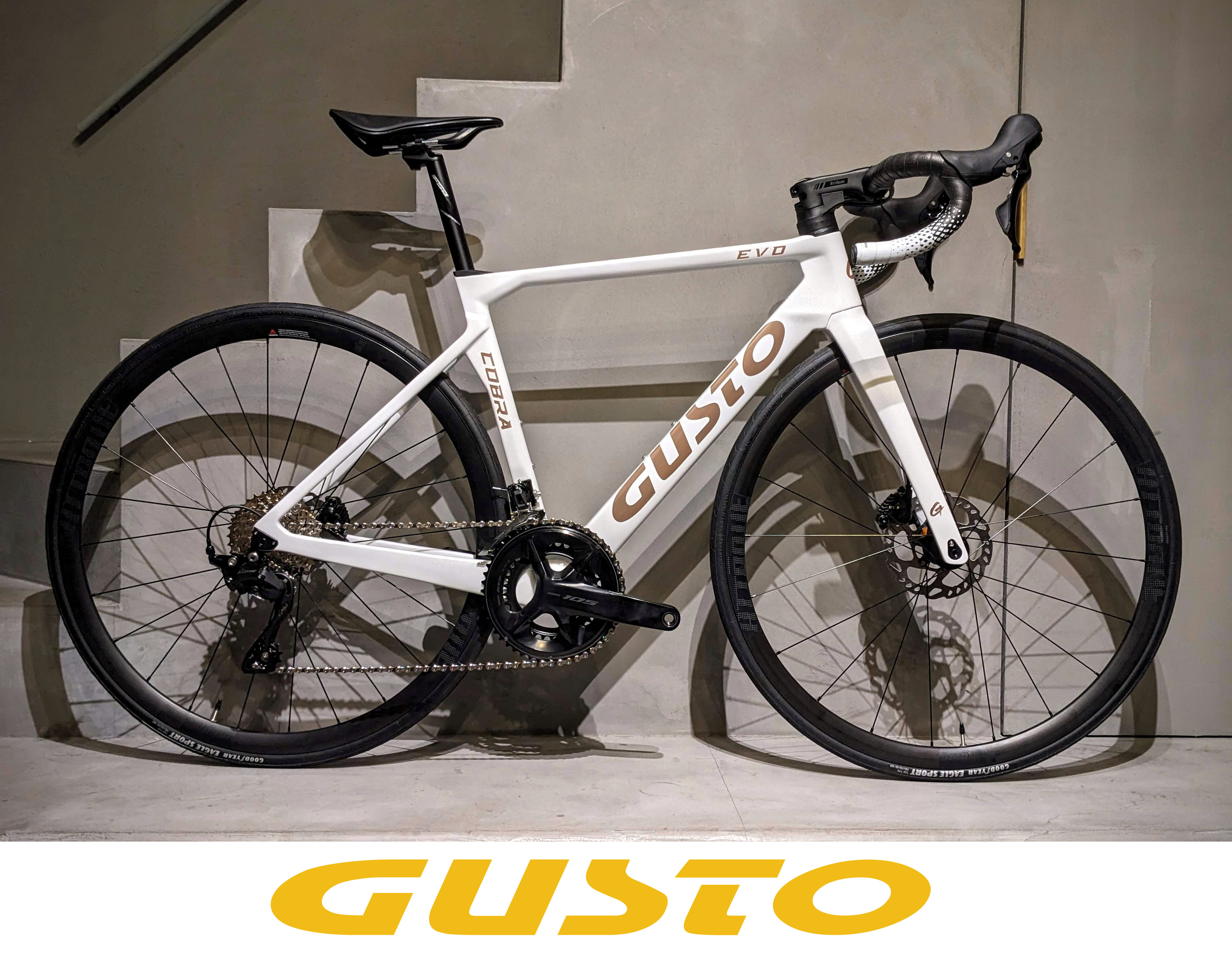 GUSTO COBRA EVO DB ELITE 105 ｜油圧ディスクのカーボンロードバイク