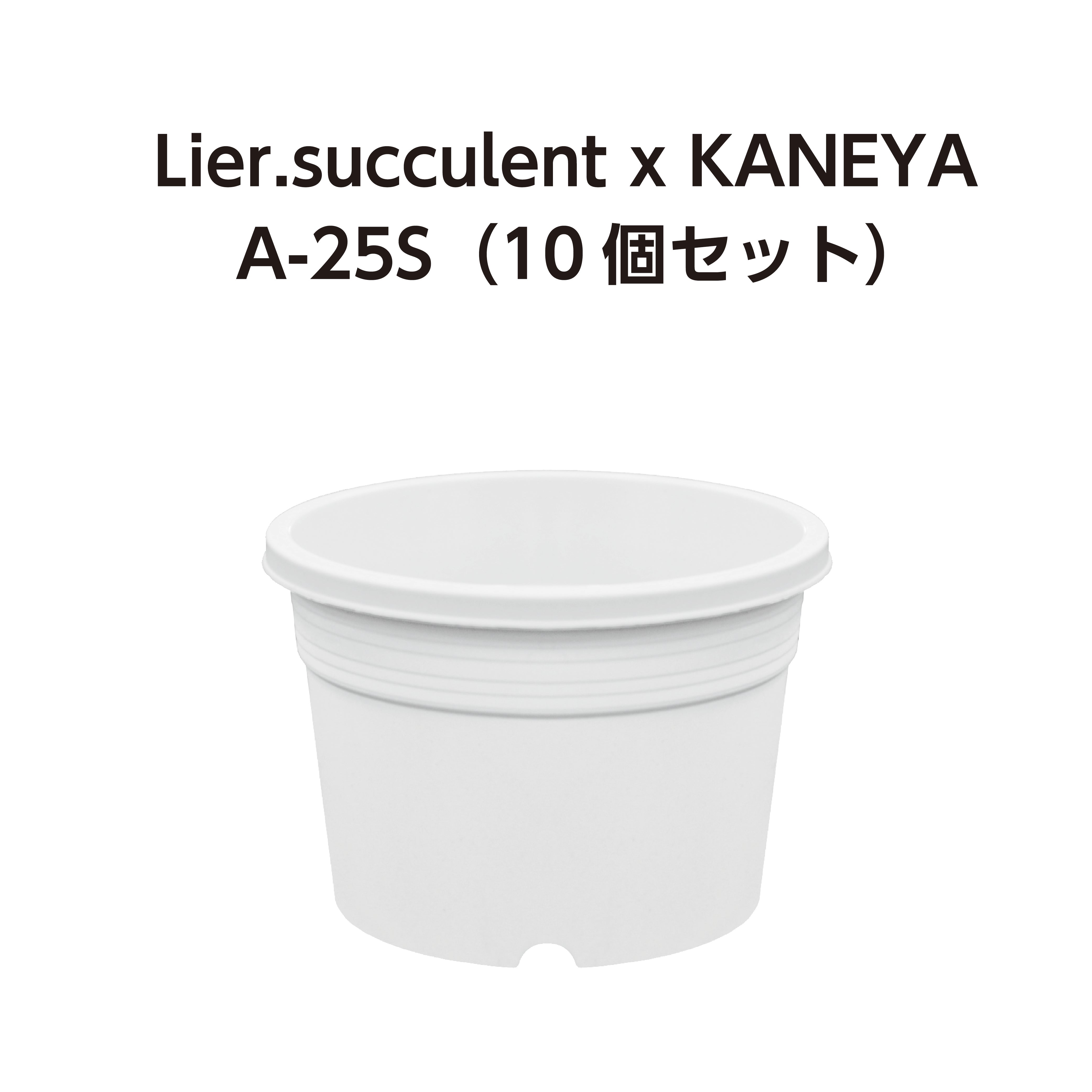A-25S 白 10個セット (2.5号鉢) (リエールサキュレントコラボ商品