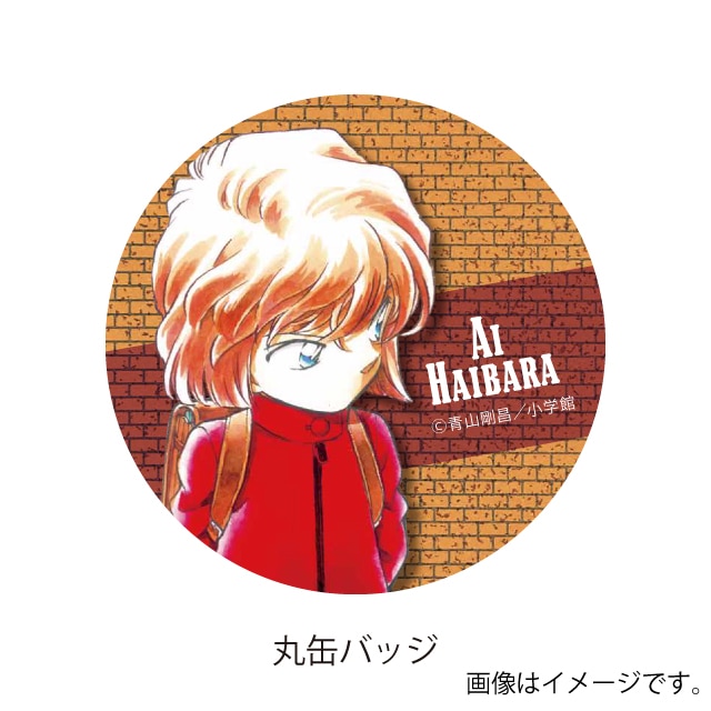 名探偵コナン』 缶バッジブック 灰原哀 : サンデープレミアムショップ