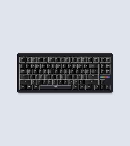Amazon | Wooting 80HE Linear60 v2 英語配列 US-ANSI ラピッド