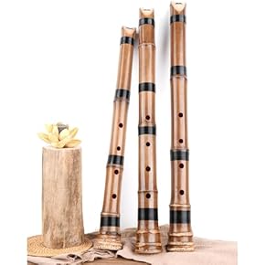 Amazon.co.jp: 尺八 - フォーク・トラディショナル吹奏楽器: 楽器